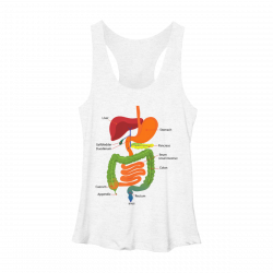 digestive system shirt